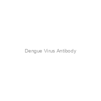 Dengue Virus Antibody